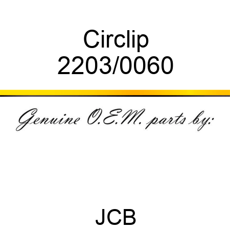Circlip 2203/0060