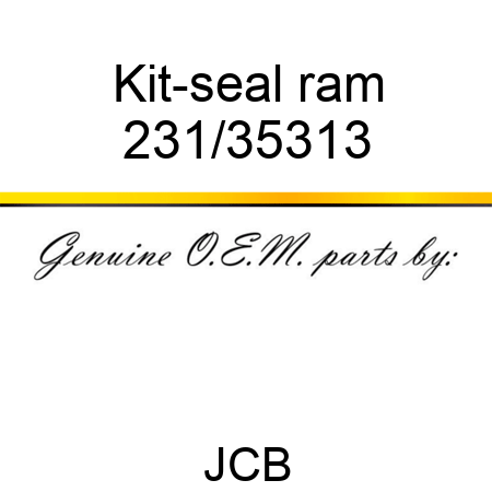 Kit-seal, ram 231/35313