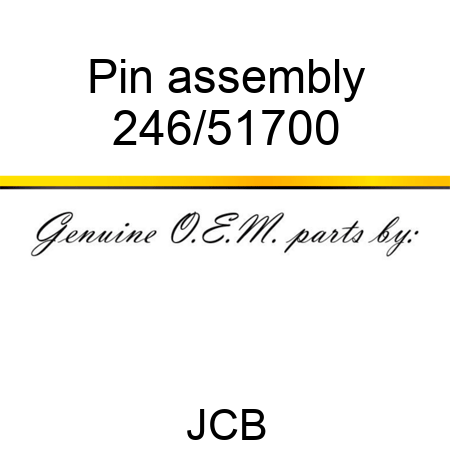 Pin, assembly 246/51700