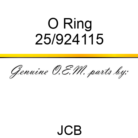 O Ring 25/924115