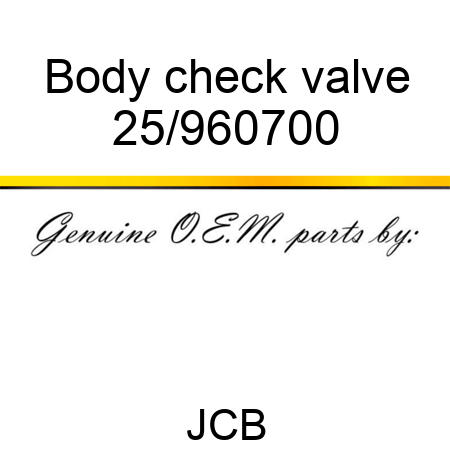Body, check valve 25/960700