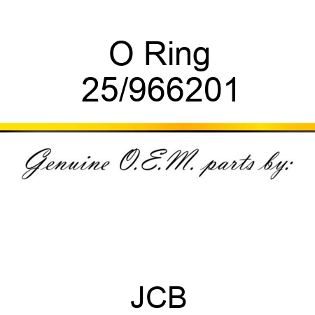 O Ring 25/966201