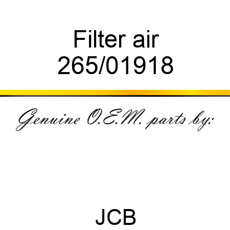 Filter, air 265/01918
