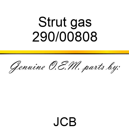 Strut, gas 290/00808