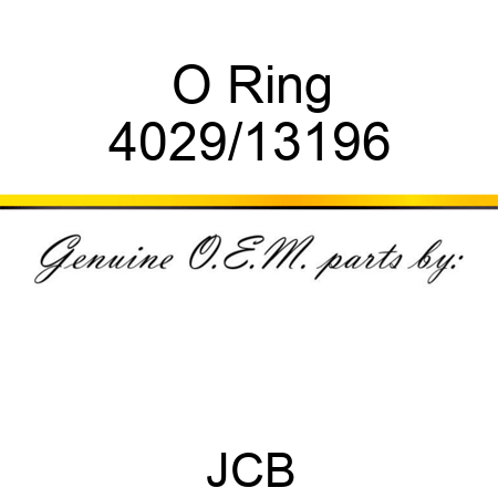 O Ring 4029/13196