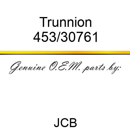 Trunnion 453/30761