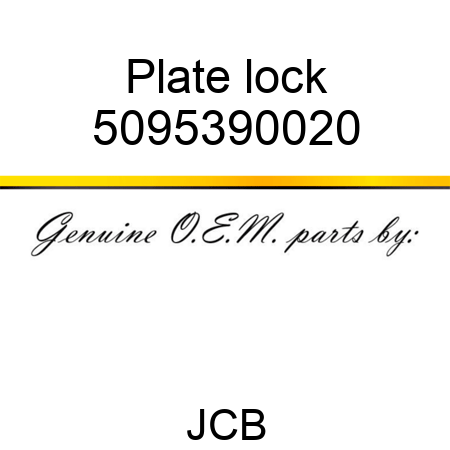 Plate, lock 5095390020