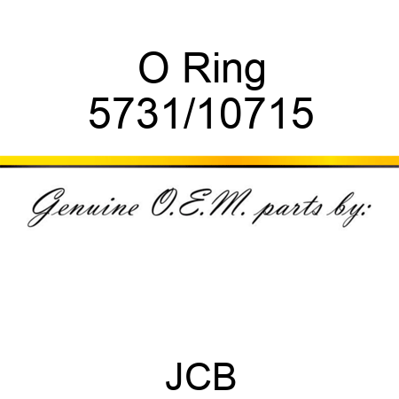 O Ring 5731/10715