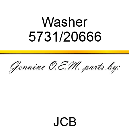Washer 5731/20666