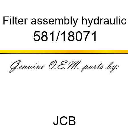 Filter, assembly, hydraulic 581/18071