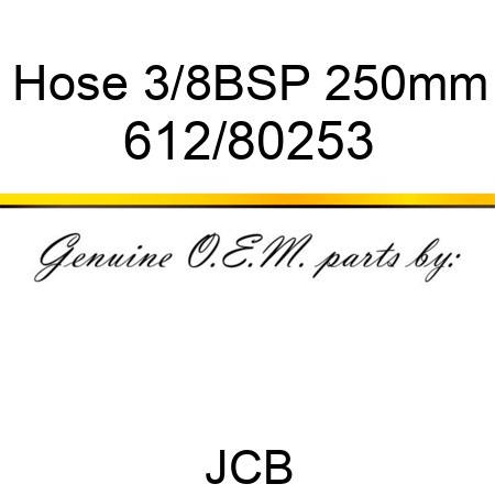 Hose, 3/8BSP 250mm 612/80253
