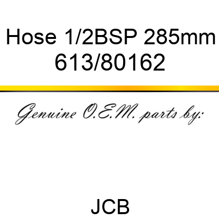 Hose, 1/2BSP 285mm 613/80162