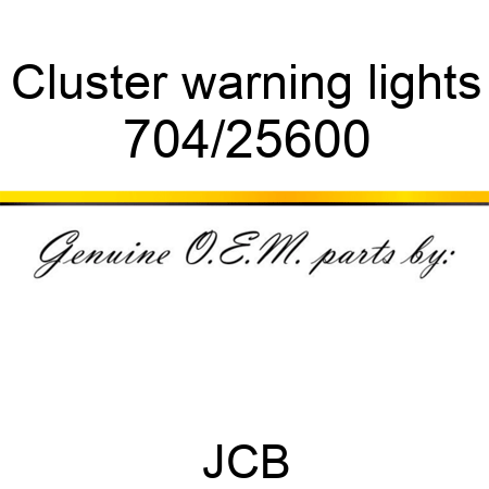 Cluster, warning lights 704/25600