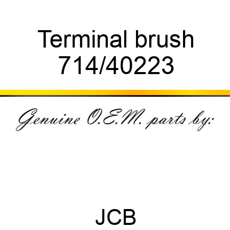 Terminal, brush 714/40223