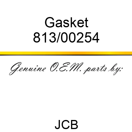 Gasket 813/00254