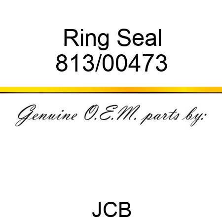 Ring, Seal 813/00473