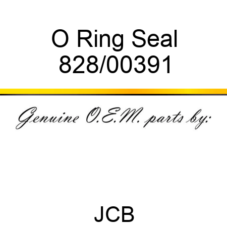 O Ring, Seal 828/00391