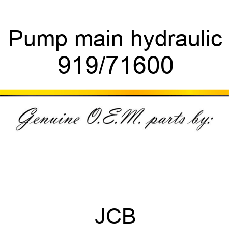 Pump, main hydraulic 919/71600