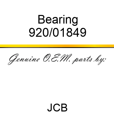 Bearing 920/01849