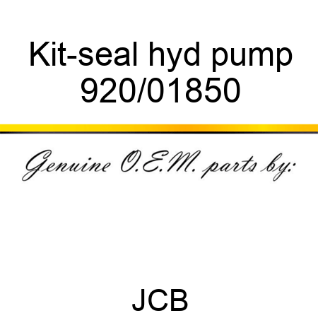 Kit-seal, hyd pump 920/01850