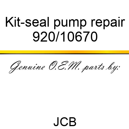 Kit-seal, pump repair 920/10670