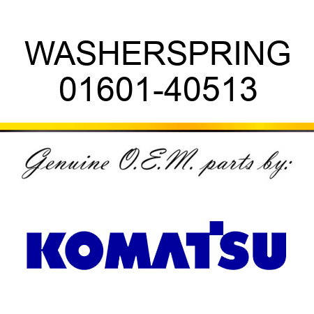 WASHER,SPRING 01601-40513