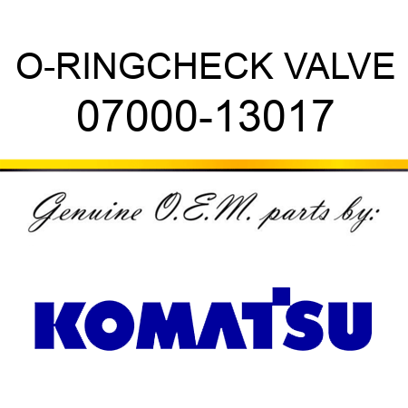 O-RING,CHECK VALVE 07000-13017