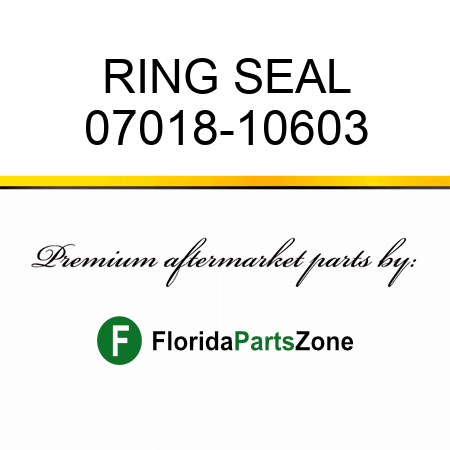 RING, SEAL 07018-10603