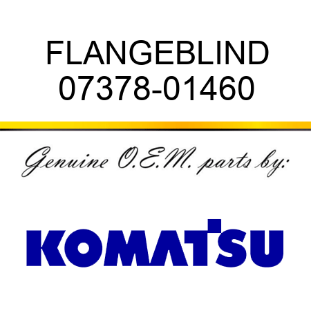 FLANGE,BLIND 07378-01460