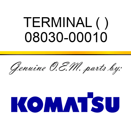 TERMINAL (+) 08030-00010