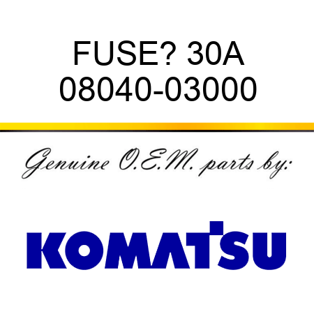 FUSE? 30A 08040-03000