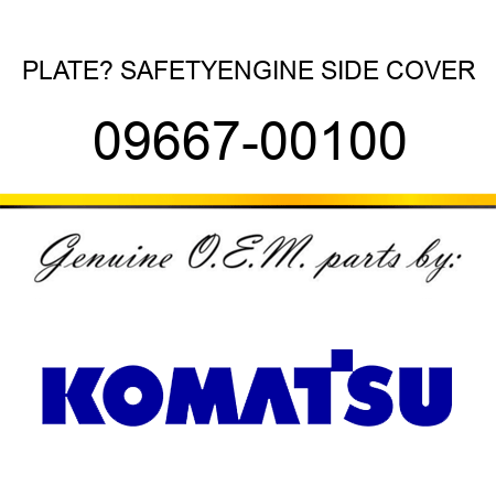 PLATE? SAFETY,ENGINE SIDE COVER 09667-00100