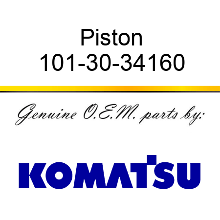 Piston 101-30-34160
