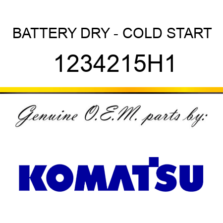 BATTERY, DRY - COLD START 1234215H1