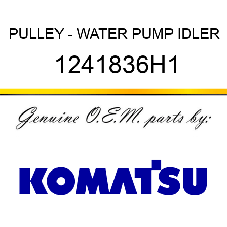 PULLEY - WATER PUMP IDLER 1241836H1
