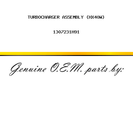 TURBOCHARGER ASSEMBLY (HX40W) 1307231H91