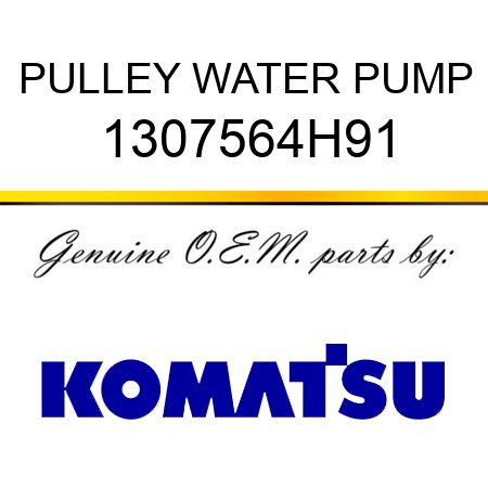 PULLEY, WATER PUMP 1307564H91