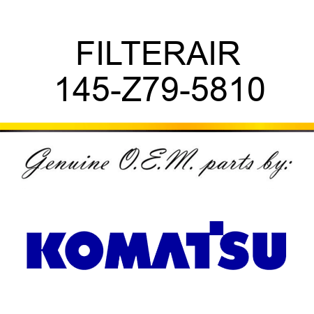 FILTER,AIR 145-Z79-5810