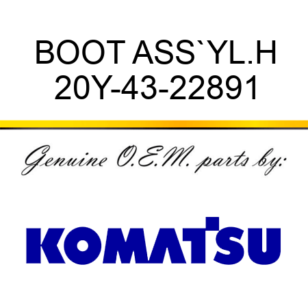 BOOT ASS`Y,L.H 20Y-43-22891
