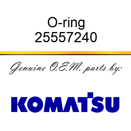 O-ring 25557240