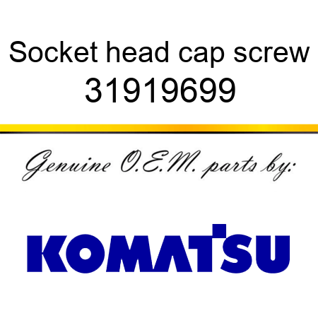 Socket head cap screw 31919699