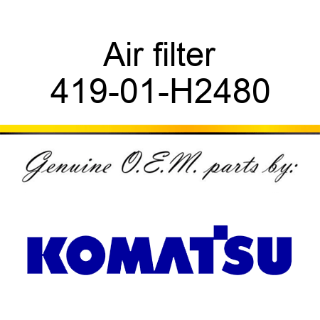 Air filter 419-01-H2480