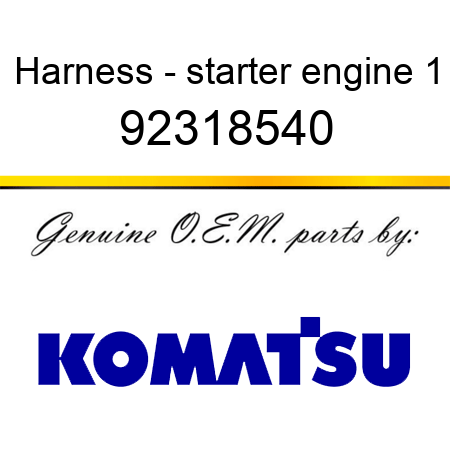 Harness - starter engine 1 92318540