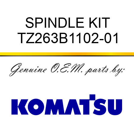 SPINDLE KIT TZ263B1102-01