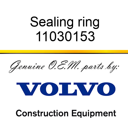 Sealing ring 11030153