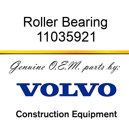 Roller Bearing 11035921