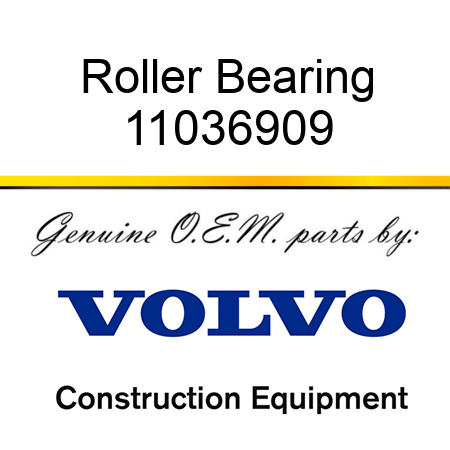 Roller Bearing 11036909