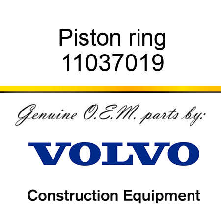 Piston ring 11037019