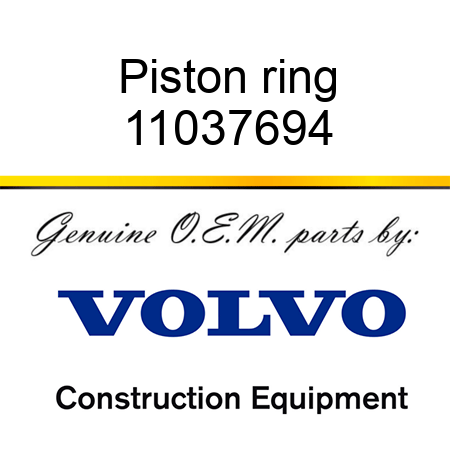 Piston ring 11037694