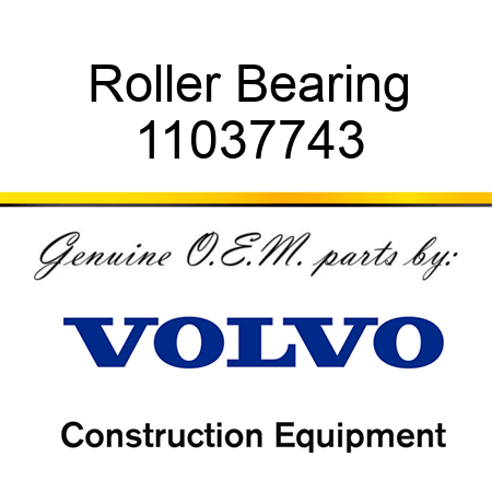 Roller Bearing 11037743